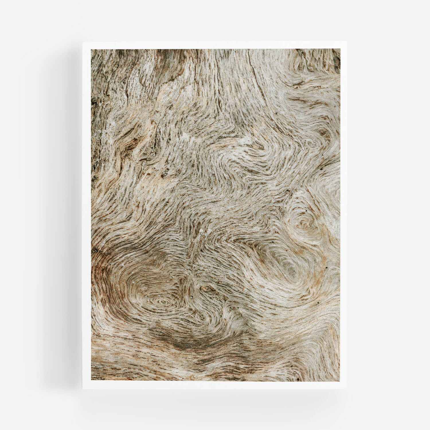 Delusions - Care Studios Prints