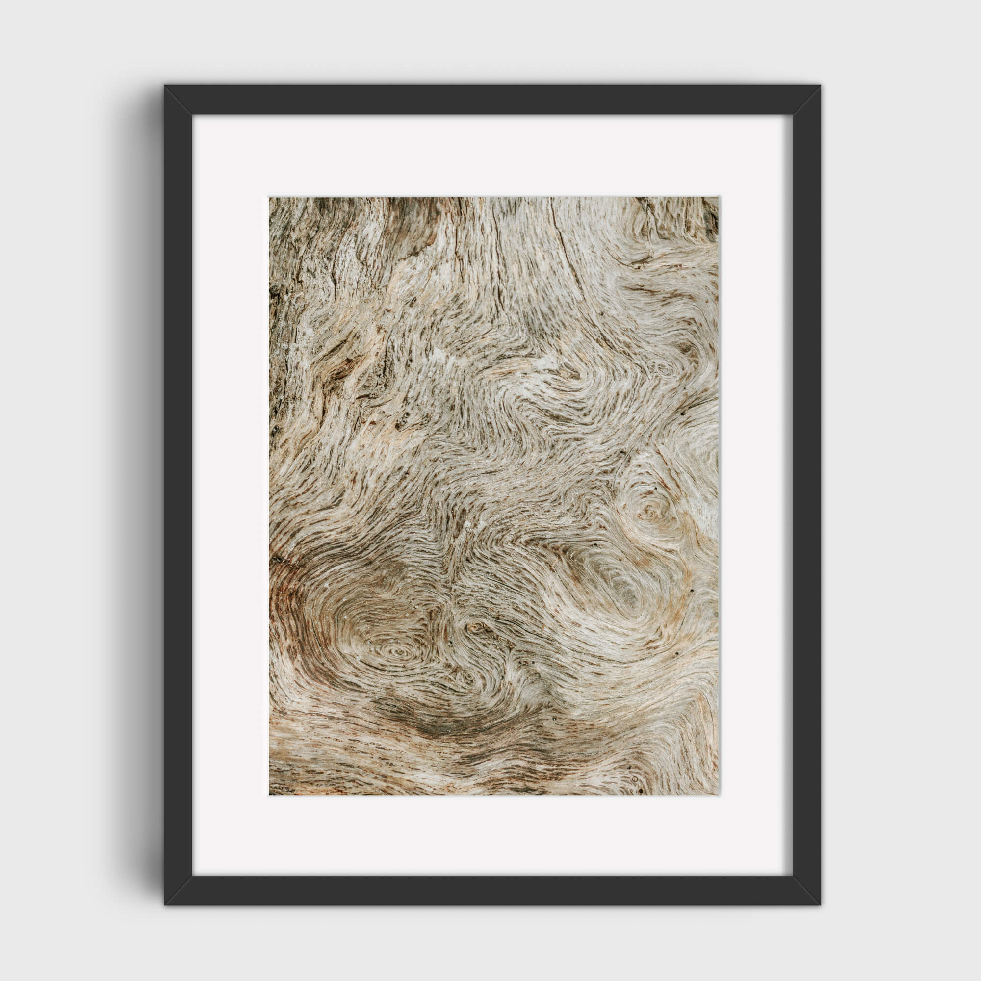 Delusions - Care Studios Prints