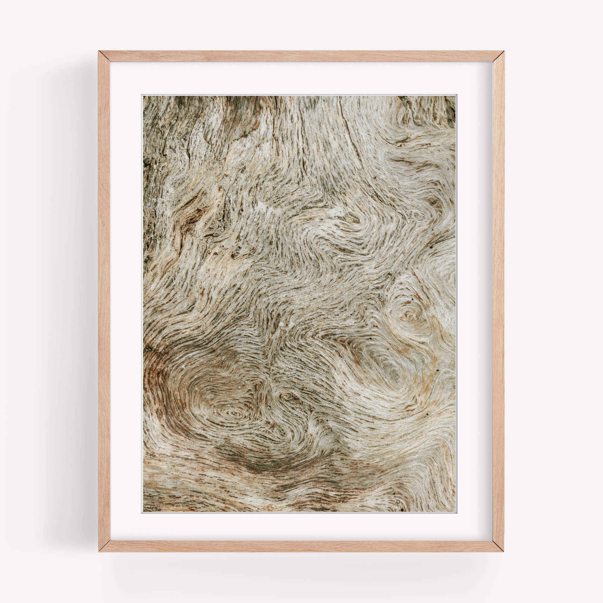 Delusions - Care Studios Prints