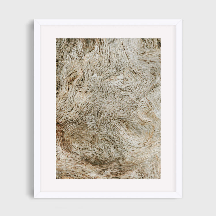 Delusions - Care Studios Prints