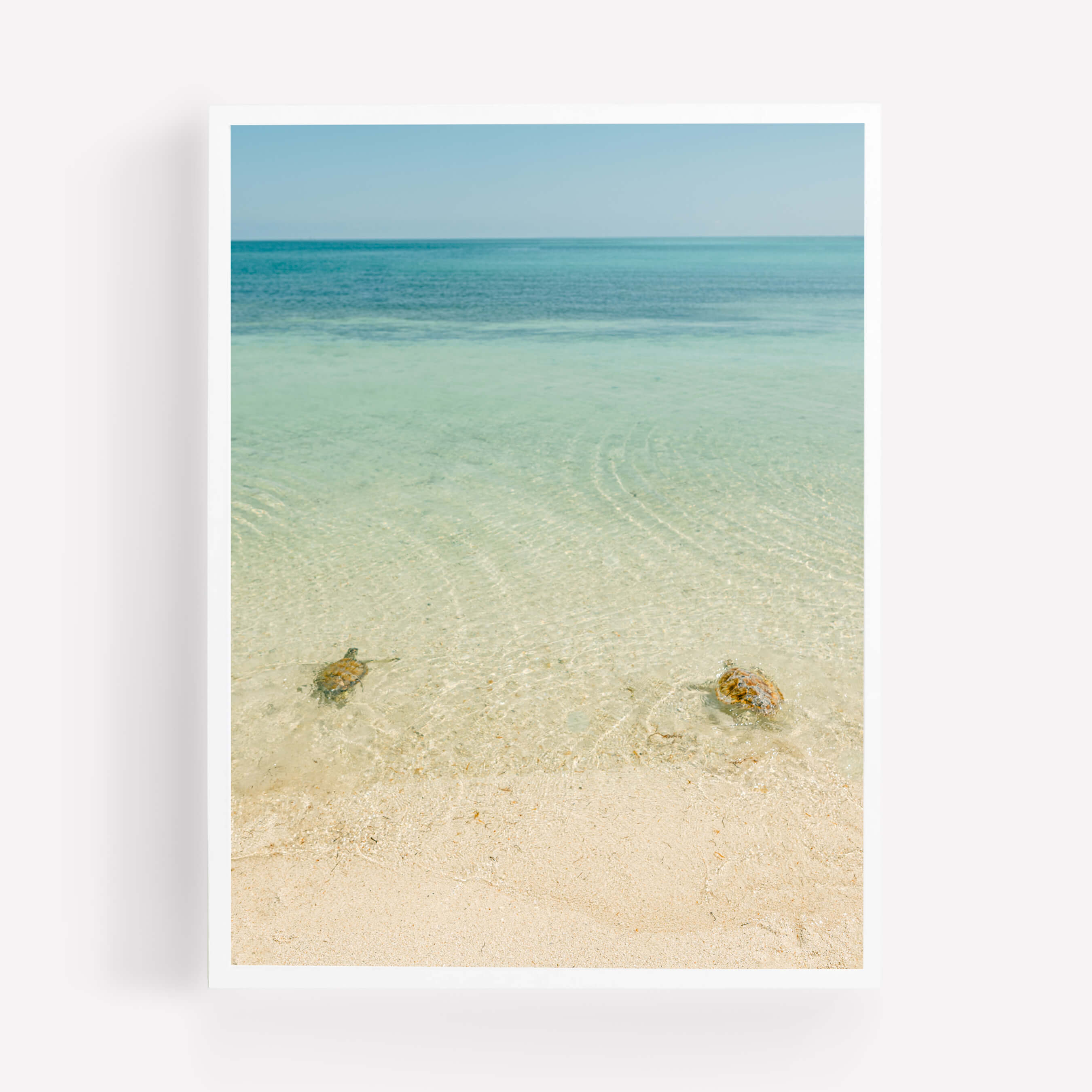 Free at Last - Care Studio Prints