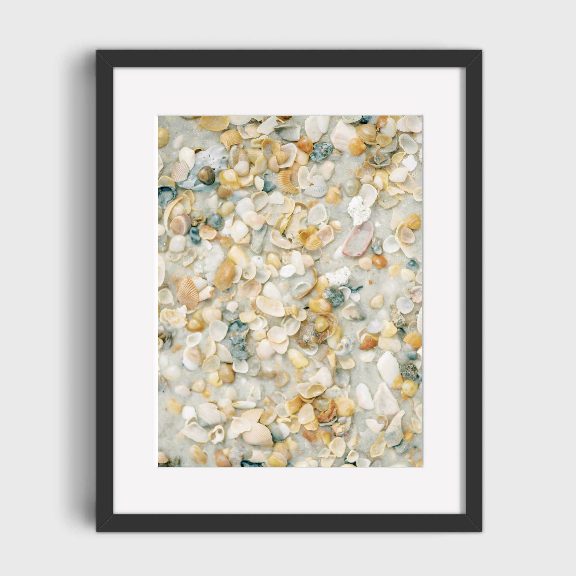 Shelly Beach - Care Studio Prints