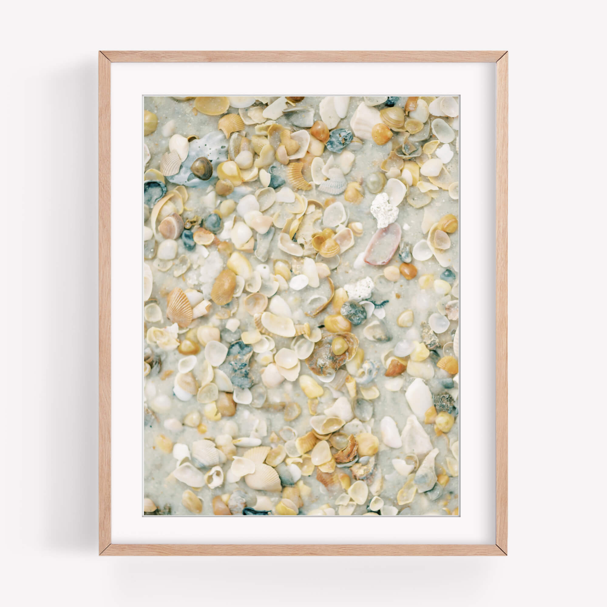 Shelly Beach - Care Studio Prints