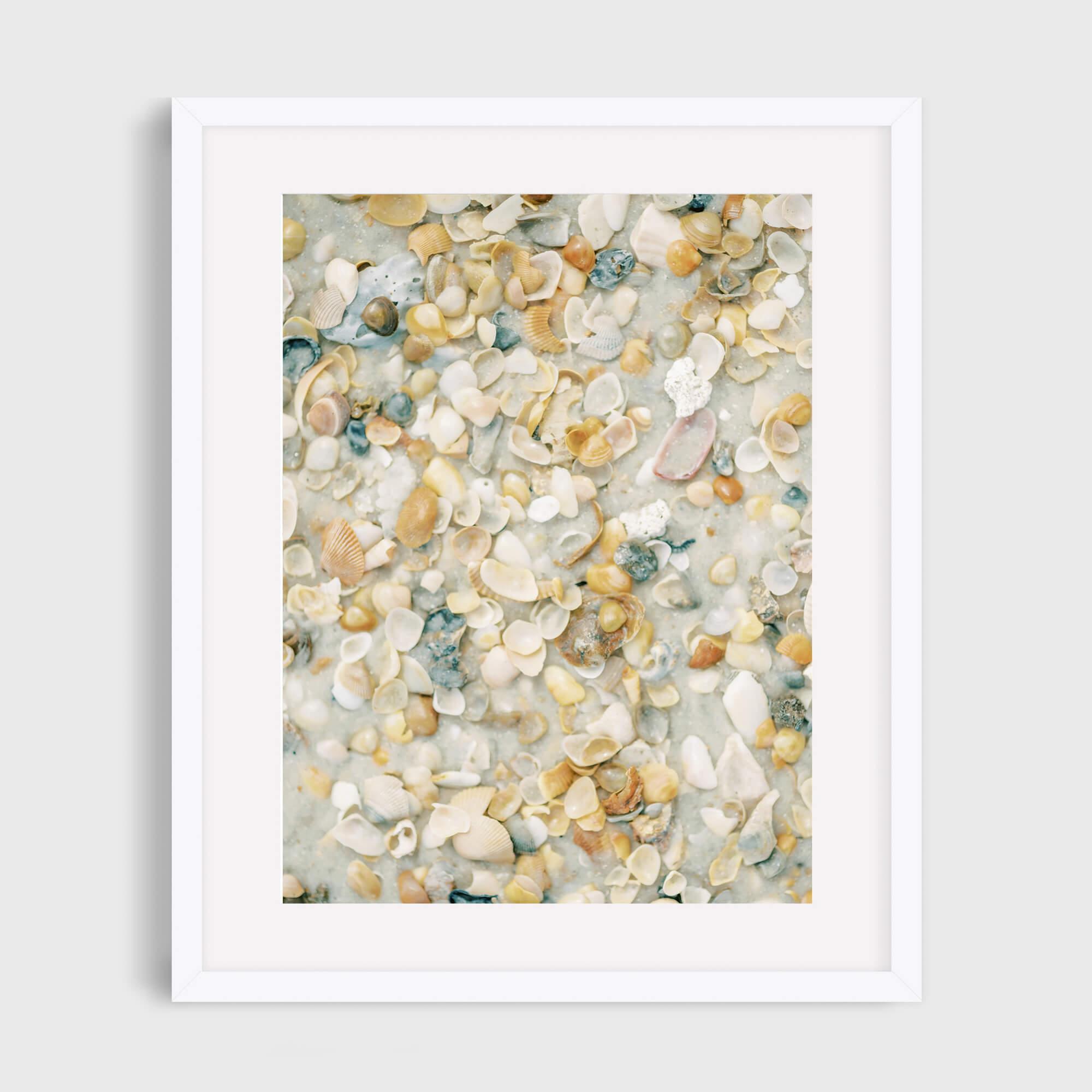 Shelly Beach - Care Studio Prints