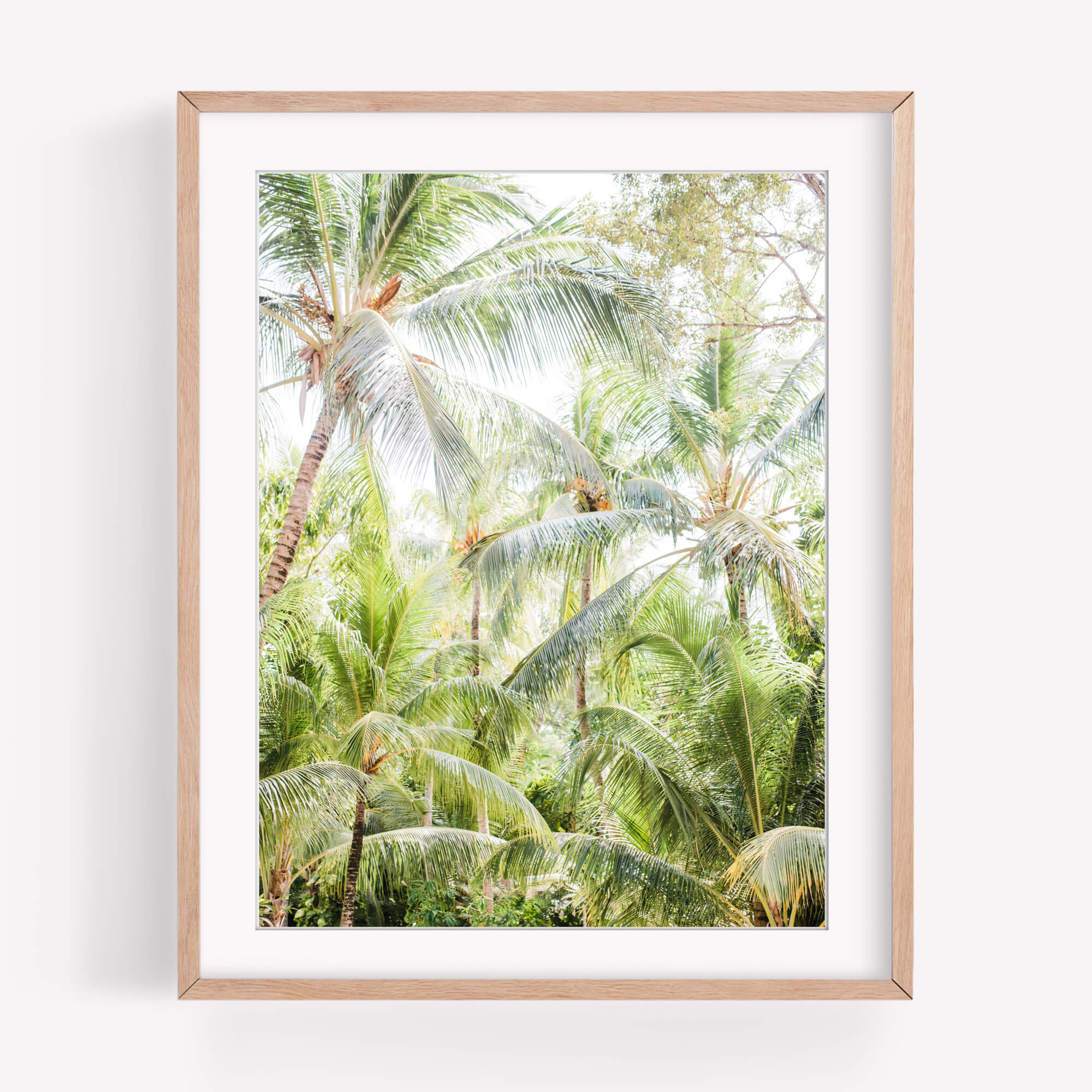 Breeze Palms - Care Studio Prints