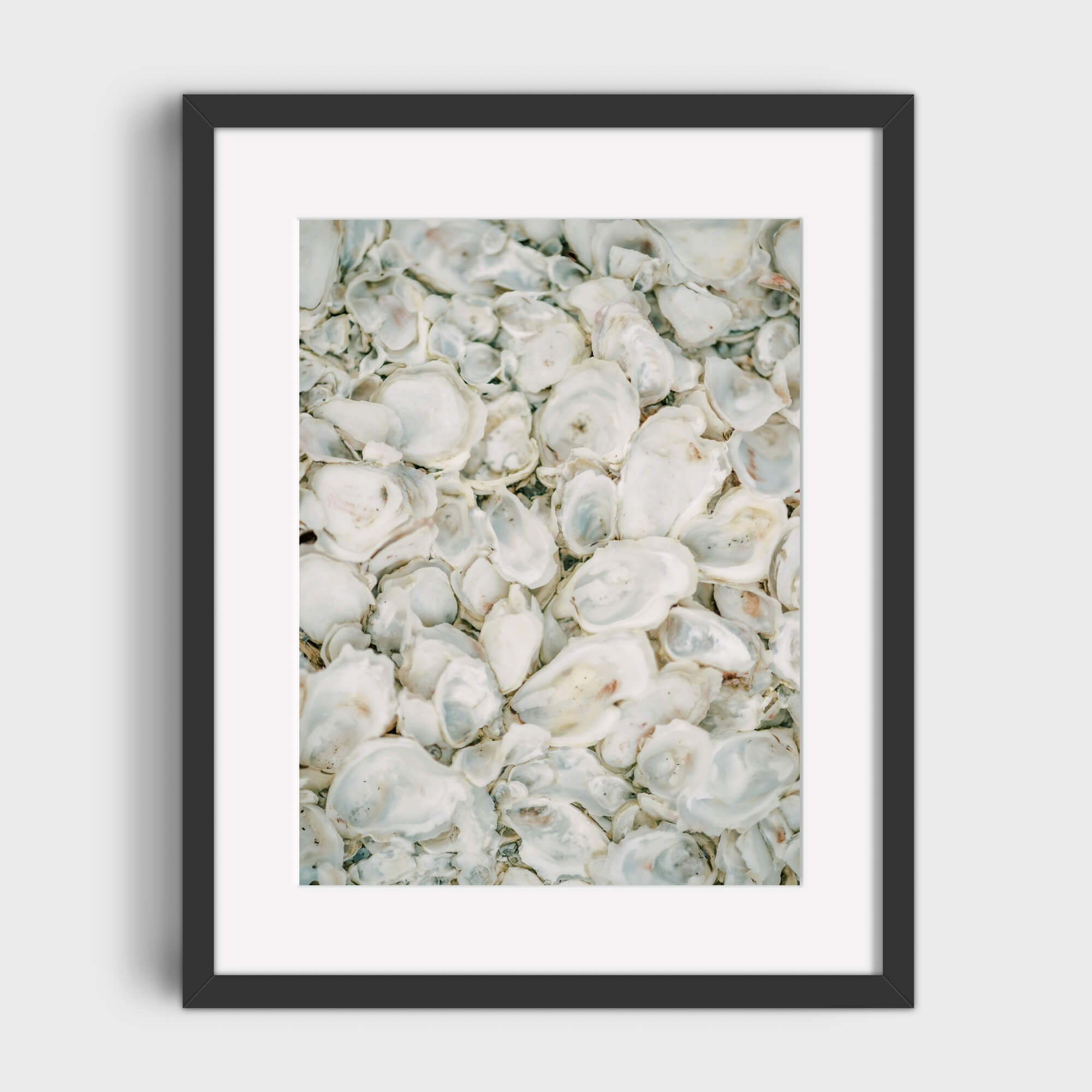 Oysters Galore - Care Studio Prints