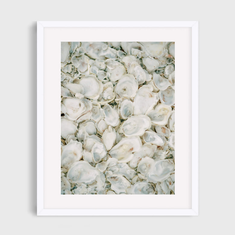 Oysters Galore - Care Studio Prints