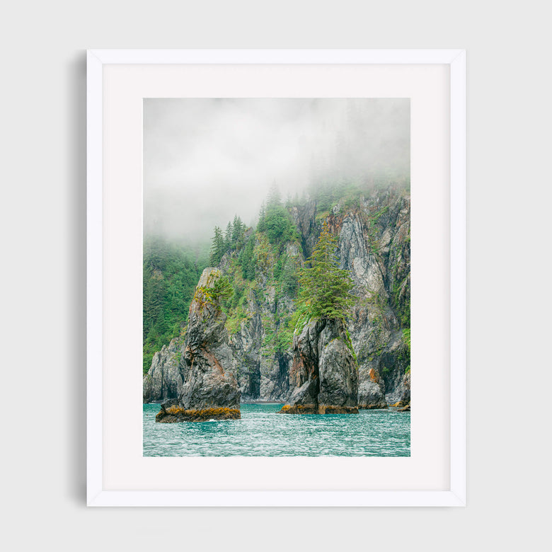 Rain Forest - Care Studio Prints