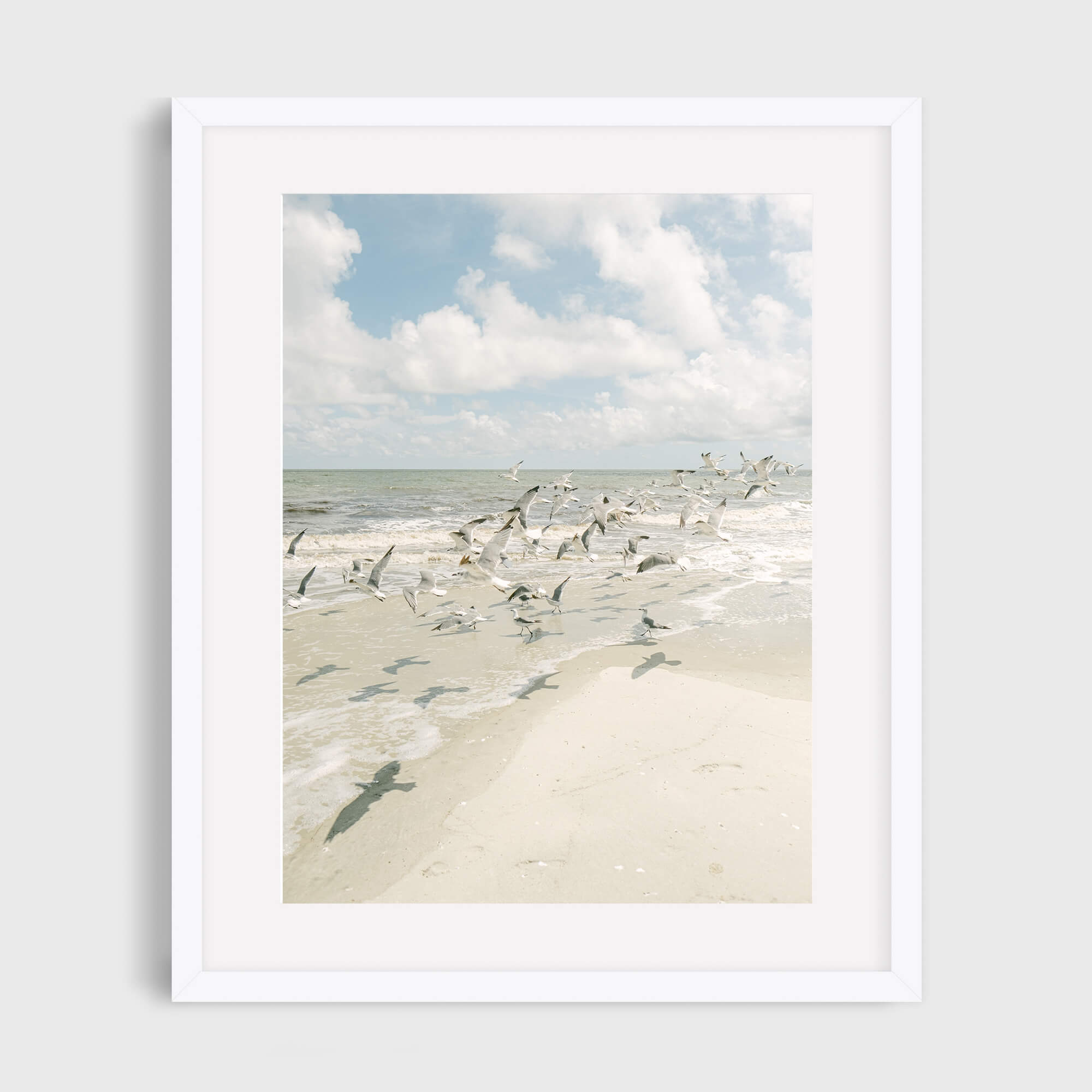 Seagulls - Care Studio Prints