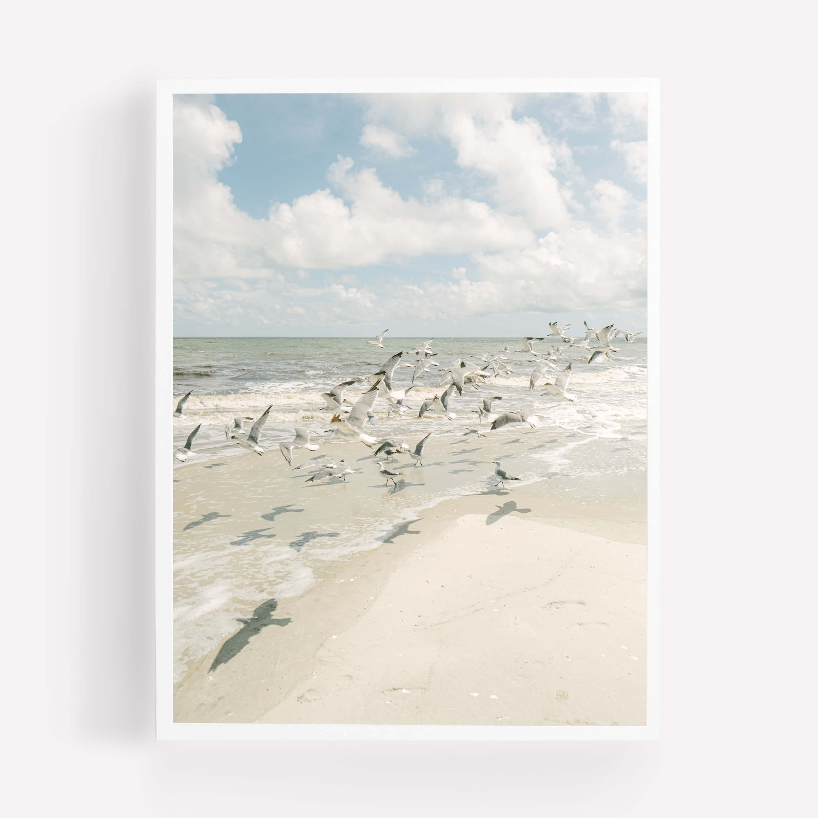Seagulls - Care Studio Prints