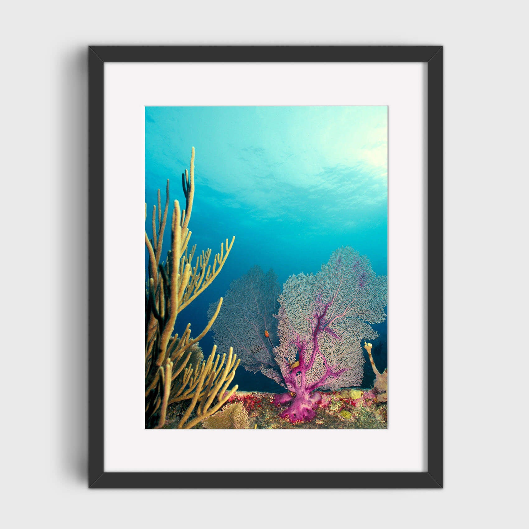Tranquil Waters - Care Studios Prints
