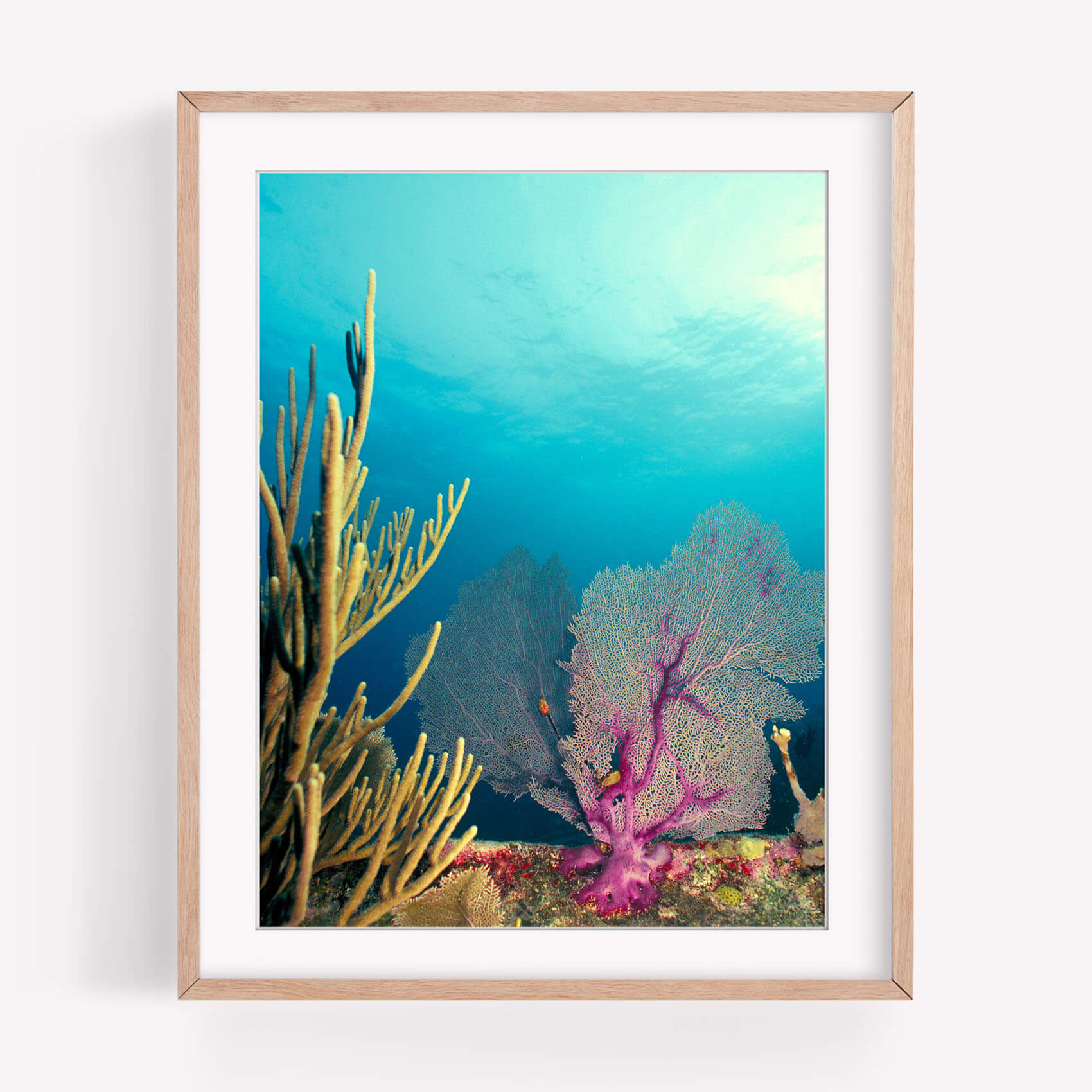 Tranquil Waters - Care Studios Prints